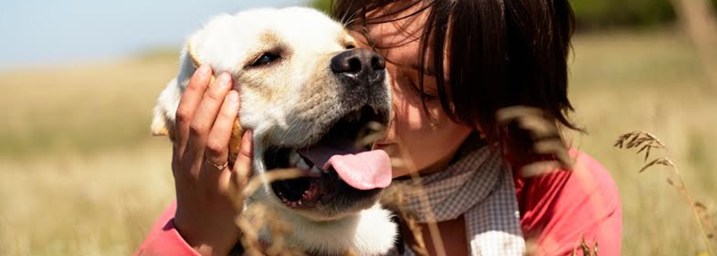 "Research shows: Being with a dog significantly increases oxytocin levels, especially in women."